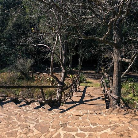 Anew Resort Ingeli Forest Kokstad コクスタッド エクステリア 写真