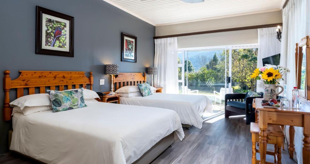 Anew Resort Ingeli Forest Kokstad コクスタッド エクステリア 写真