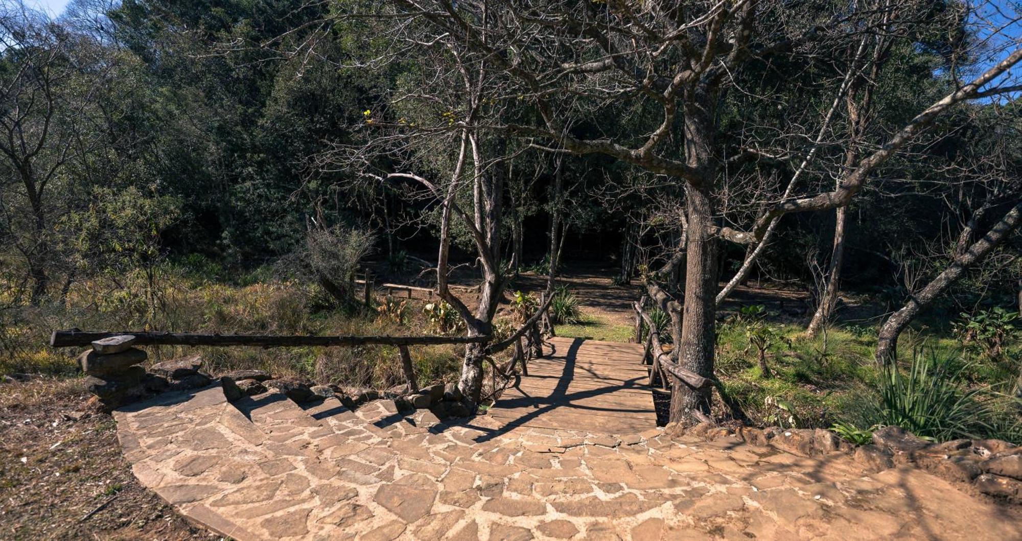 Anew Resort Ingeli Forest Kokstad コクスタッド エクステリア 写真