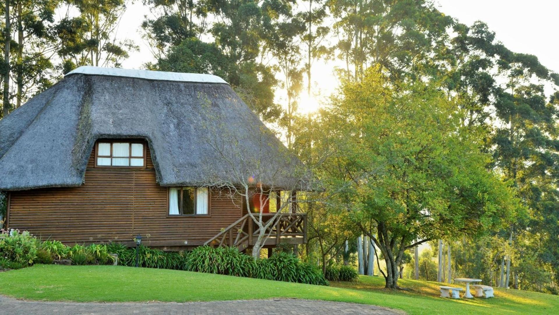 Anew Resort Ingeli Forest Kokstad コクスタッド エクステリア 写真